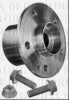 BORG & BECK BWK1369 Wheel Bearing Kit